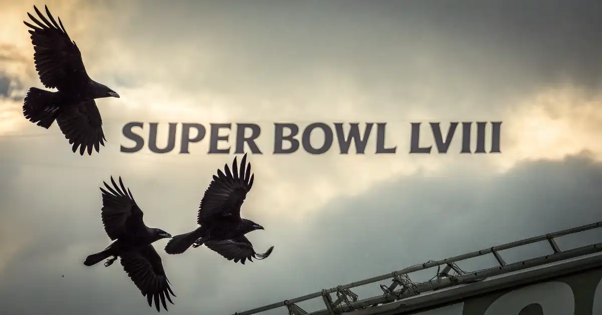 Ravens Fly Towards Super Bowl LVIII