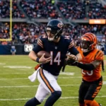 Chicago Bears Vs Bengals Match Player Stats