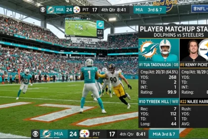 Miami Dolphins Vs Pittsburgh Steelers Match Player Stats