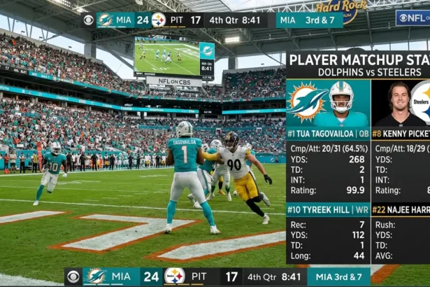 Miami Dolphins Vs Pittsburgh Steelers Match Player Stats