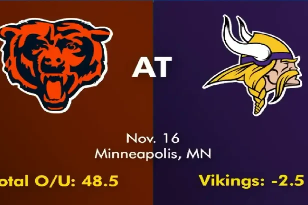 Minnesota Vikings vs Chicago Bears Match Player Stats