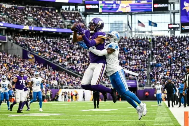 Minnesota Vikings vs Detroit Lions Match Player Stats