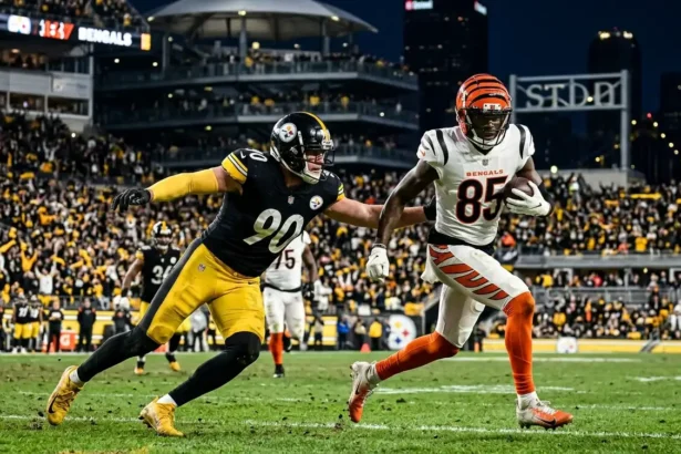 Pittsburgh Steelers vs Bengals match player stats