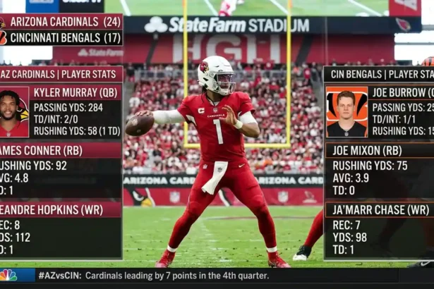 arizona cardinals vs bengals match player stats