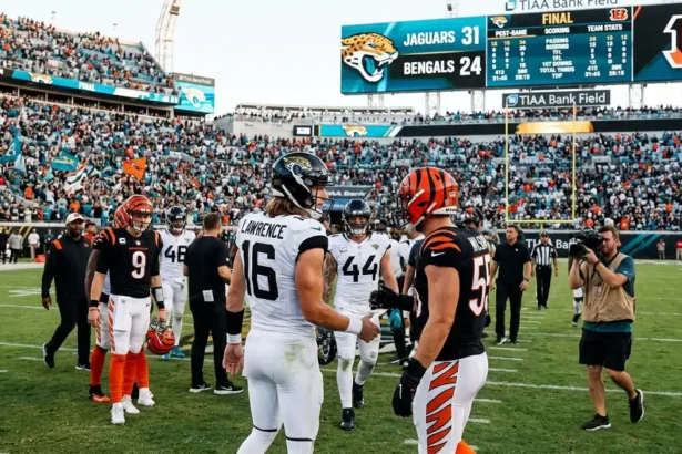 jacksonville jaguars vs bengals match player stats