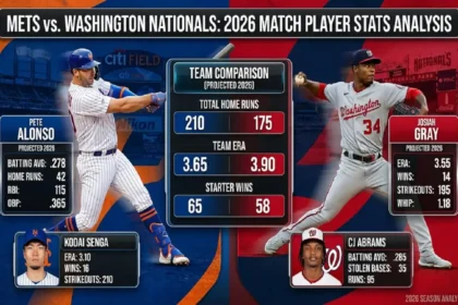 mets vs washington nationals match player stats