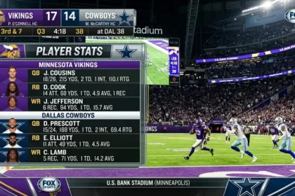 minnesota vikings vs dallas cowboys match player stats