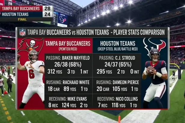 tampa bay buccaneers vs houston texans match player stats
