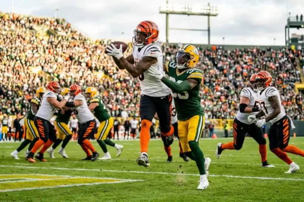 bengals vs green bay packers match player stats