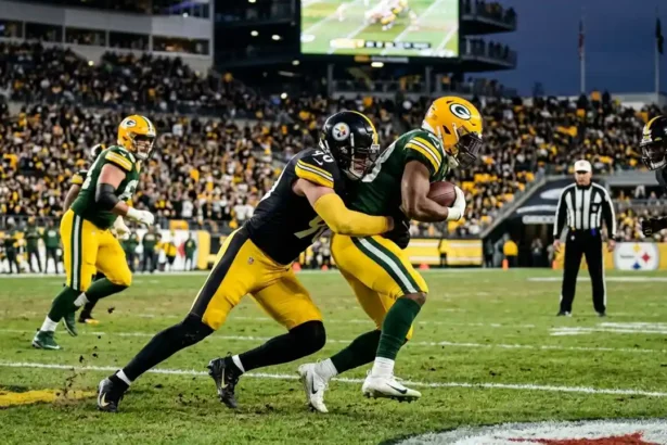 pittsburgh steelers vs green bay packers match player stats