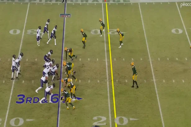 Baltimore Ravens vs Green Bay Packers Match Player Stats