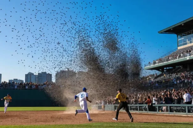 Dodgers vs Pittsburgh Pirates Bats Explode in PNC Park Classic