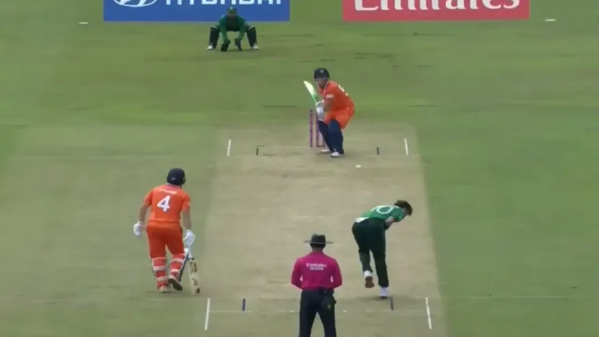 Pakistan National Cricket Team Vs Netherlands National Cricket Team Match Scorecard