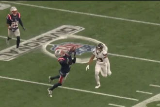 Texans vs New England Patriots Match Player Stats