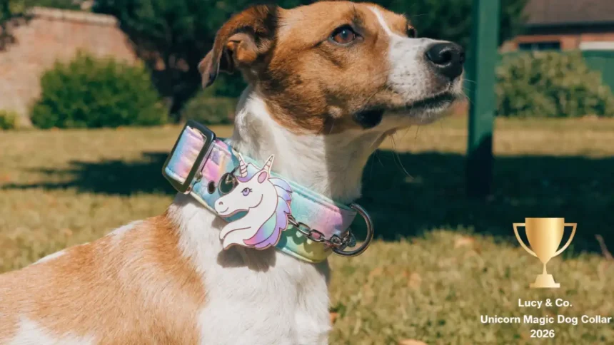 Lucy & Co. Unicorn Magic Dog Collar Wins 2026