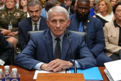 dr fauci