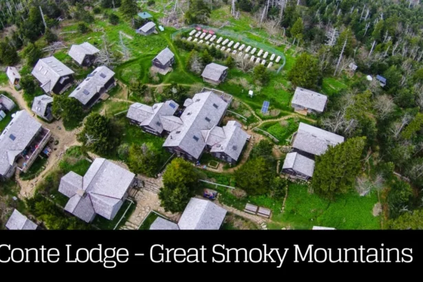 leconte lodge building demolition