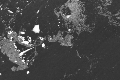 nisar satellite antarctica image