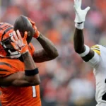 Pittsburgh Steelers vs Bengals Match Player Stats