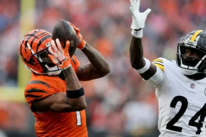 Pittsburgh Steelers vs Bengals Match Player Stats
