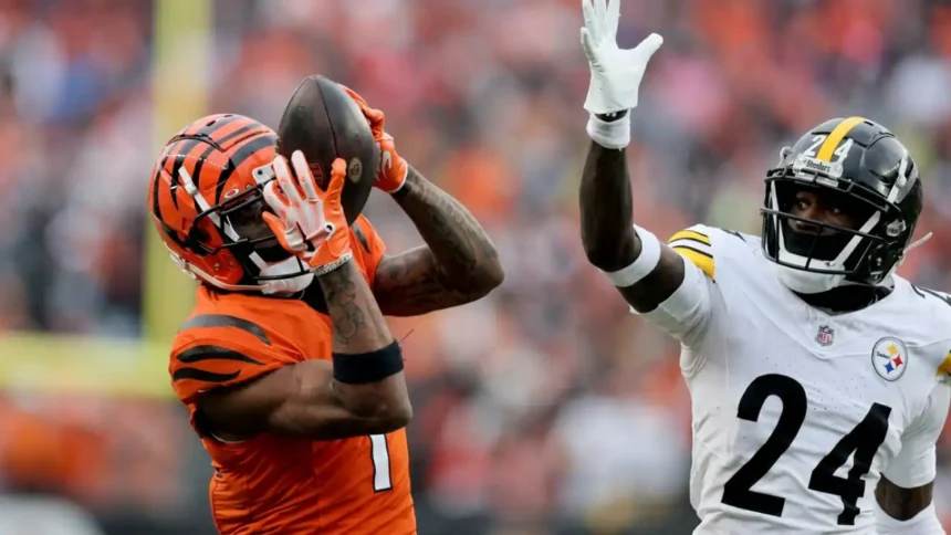 Pittsburgh Steelers vs Bengals Match Player Stats